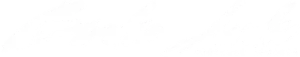 fae1e6_03c211c84afe4fae85807c7f20d00095_mv2